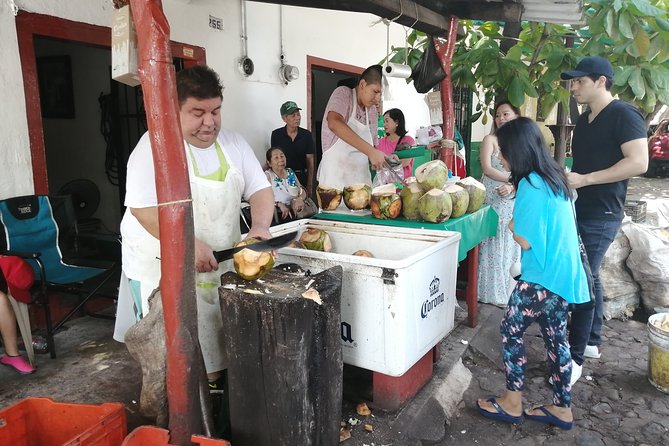 1 to 6 Passengers Vallarta Private City Tour - Residential Puerto Vallarta between the main sights