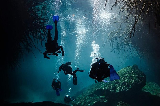 2 cenote divings (including one deep diving) for advanced divers in Tulum - What the $215 price really covers