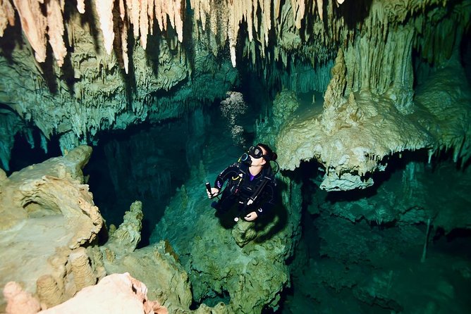 2 dives in Cenote Dos ojos Certified Divers - Why Tulum’s cenotes make such unusual scuba sites