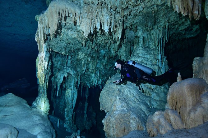 2 dives in Cenote Dos ojos Certified Divers - The surface break: snacks, drinks, and lunch
