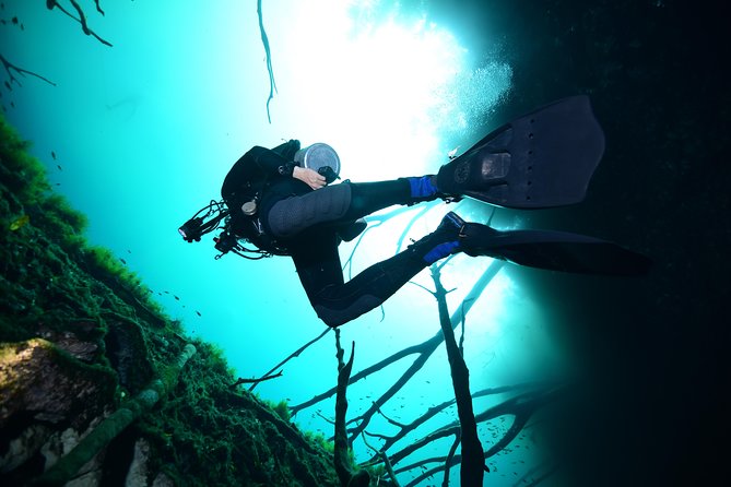 2 dives in Cenote Dos ojos Certified Divers - Who should choose this outing
