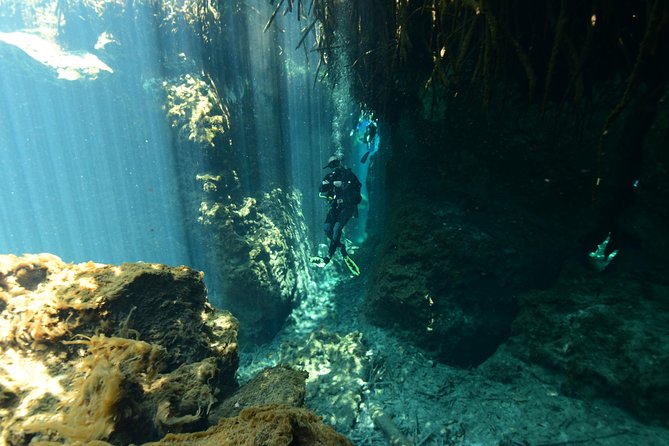 2 dives in Cenote Dos ojos Certified Divers - Starting at Agua Clara Diving at 8:30 a.m.