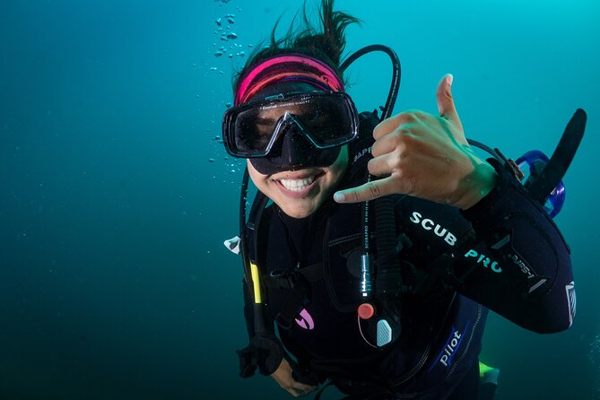 2 Dives in the Cabo Marine Park - Starting Downtown Cabo San Lucas