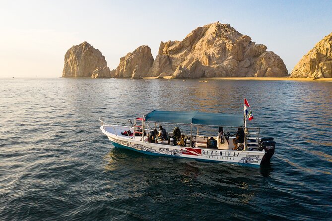 2 Dives in the Cabo Marine Park - Conservation Without the Lecture