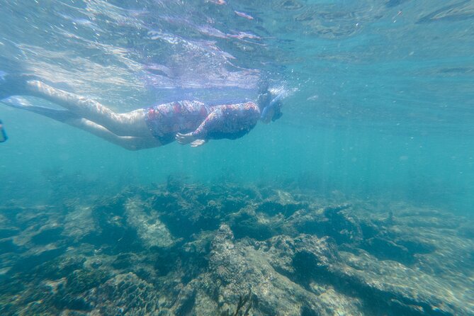 2-Hour Snorkeling in Two Spots of Tulum's Reef - Second stop: coral, schools of fish, and mixed conditions
