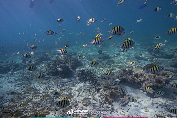 2-Hour Snorkeling Paradise Reef in Cancún Underwater Museum - Reaching Punta Nizuc by motor boat