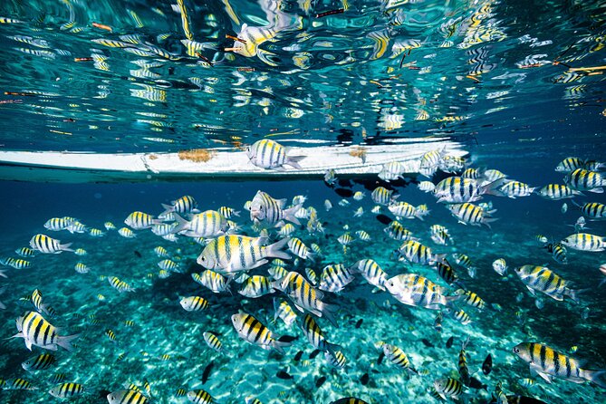 2 in 1 Parasail Cancun and Jet ski - Who should book this combo