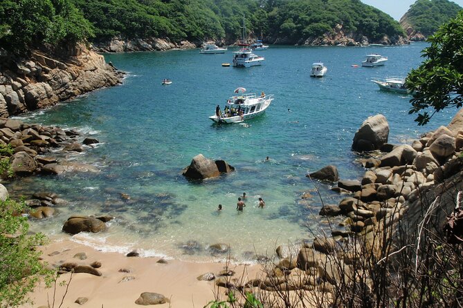 2 Tank Boat Dives for Certified Divers - Marine life around Acapulco and Roqueta Island