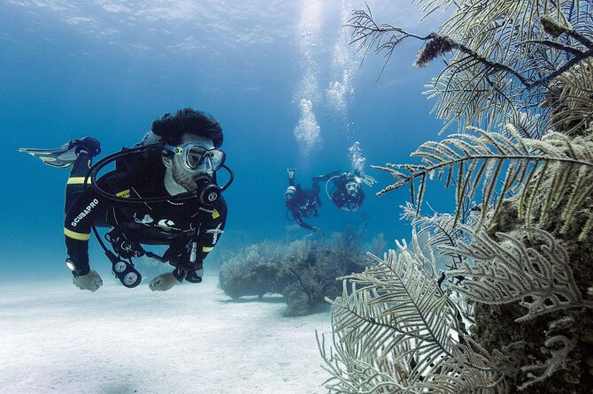 2 Tank Dive (for certified divers) - Getting ready for the first session