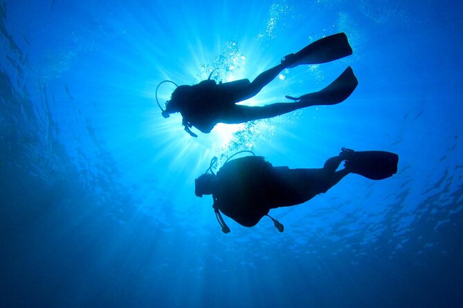 2 Tank Dive (for certified divers) - The first reef session: coral corridors and local life