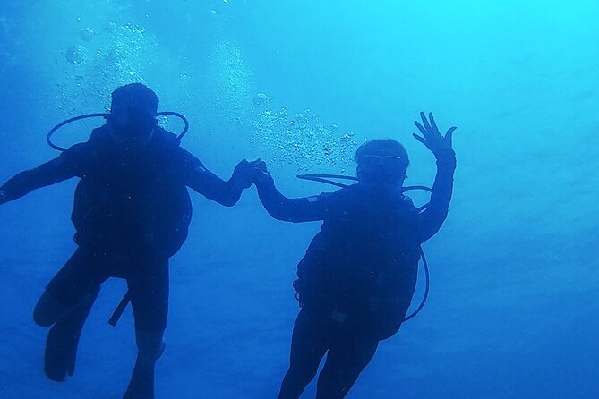 2 Tank Dive (for certified divers) - What the four-hour schedule means for a cruise stop
