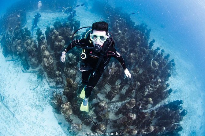2 Tank Dives MUSA and Manchones reef (Certified divers) - What MUSA adds to a morning underwater