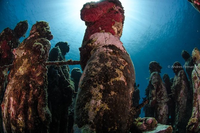 2 Tank Dives MUSA and Manchones reef (Certified divers) - Small groups and hands-on support