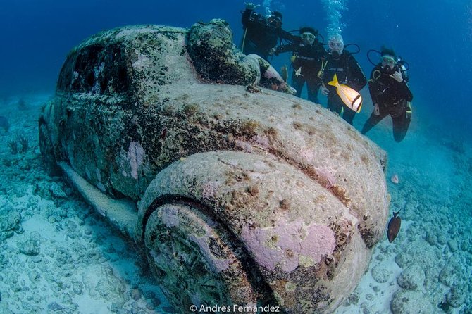 2 Tank Dives MUSA and Manchones reef (Certified divers) - What you are likely to see underwater