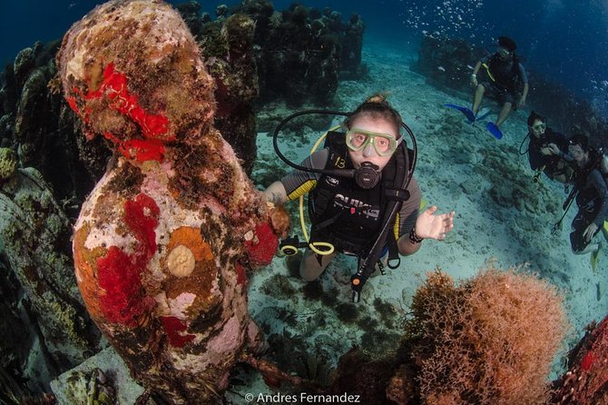 2 Tank Dives MUSA and Manchones reef (Certified divers) - The 8:30 am meeting at Squalo Adventures