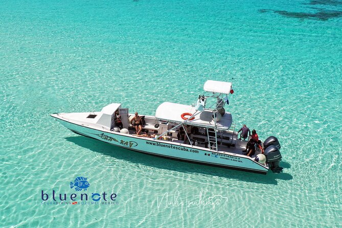 2 Tank Morning Dive: Scuba Diving in Cozumel - Quick takeaways for your Cozumel morning