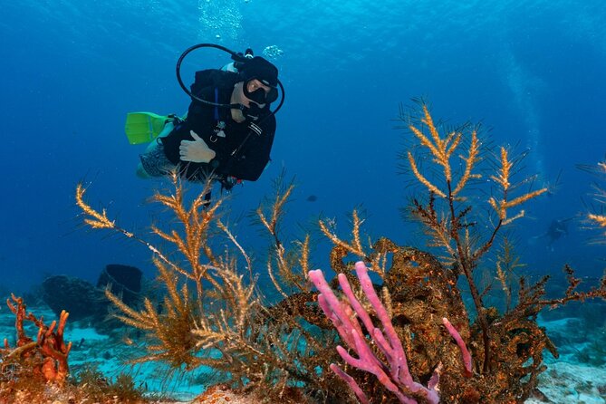2 Tank Morning Dive: Scuba Diving in Cozumel - Why the small groups matter underwater