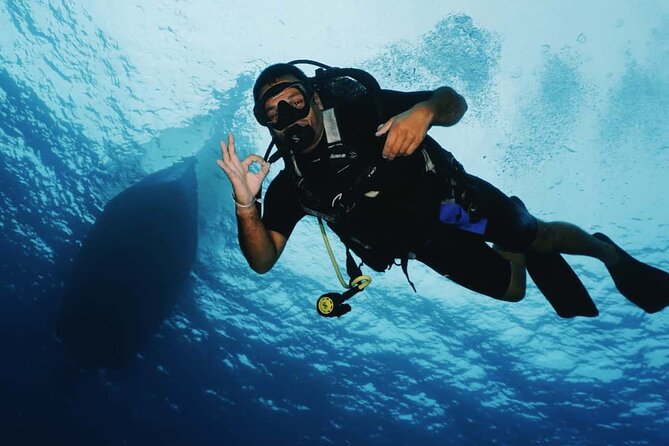2 Tank Morning Dive: Scuba Diving in Cozumel - Price: is $160 a fair deal?