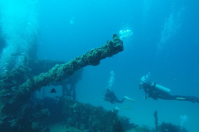 2 Tank Reef Dive in Mexico - Why Puerto Morelos makes a good reef base