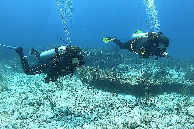 2 Tank Reef Dive in Mexico - Practical details that can make the day easier