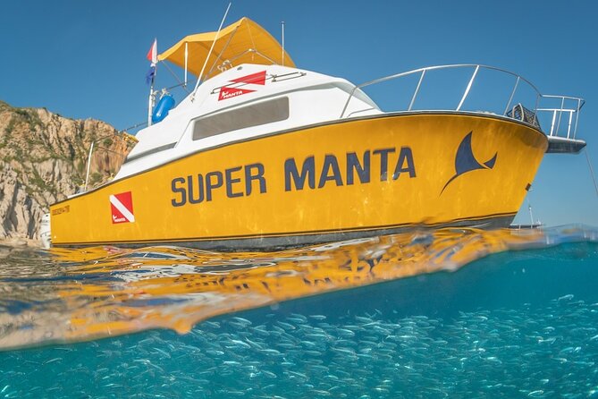 2-Tank Scuba Dive in Cabo San Lucas Reserve for Certified Divers - Starting at Manta Scuba in the Cabo marina