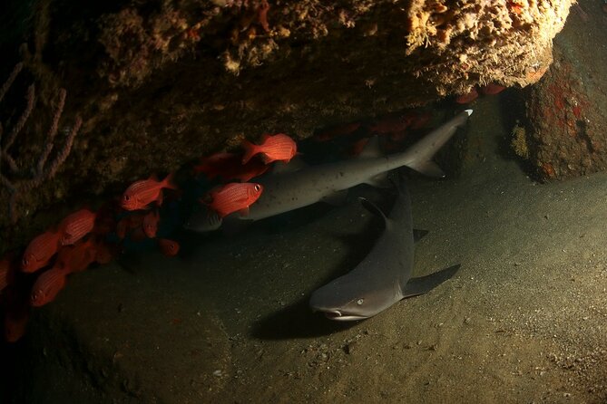 2-Tank Scuba Dive in Cabo San Lucas Reserve for Certified Divers - Between sessions, Cabo’s famous landmarks