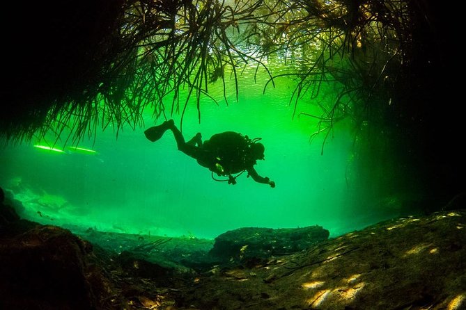 2 tanks Cenote Diving Adventure in Tulum for Certified Divers - Why Casa Cenote makes a good first stop