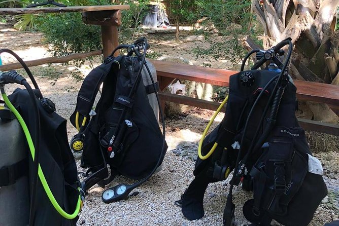 2 tanks Cenote Diving Adventure in Tulum for Certified Divers - What the price includes at $200