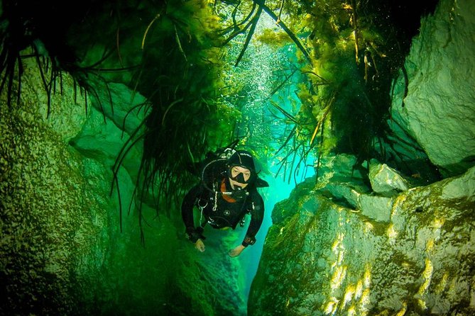 2 tanks Cenote Diving Adventure in Tulum for Certified Divers - Certification, health, and flight rules