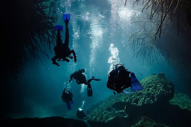 2 tanks Cenote Diving Adventure in Tulum for Certified Divers - What the experience feels like for a newer certified diver