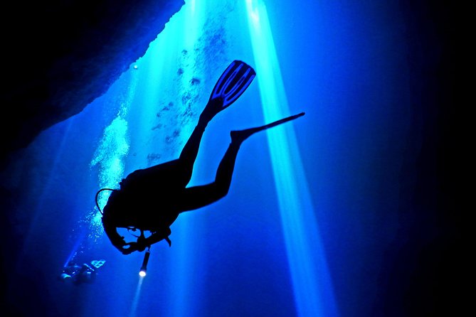 2 tanks Cenote Diving Adventure in Tulum for Certified Divers - The strongest reasons to choose La Calypso