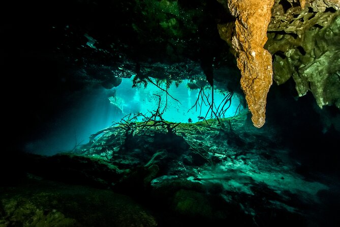 3 Cenote Dives - Casa & Dos Ojos - Why the four-person limit matters