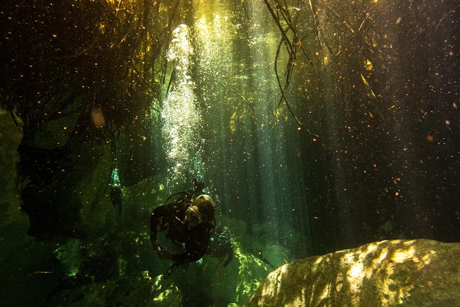 3 Cenote Dives - Casa & Dos Ojos - Meeting in Tulum and managing the schedule