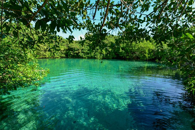 3 Cenote Dives - Casa & Dos Ojos - The guide makes the experience work