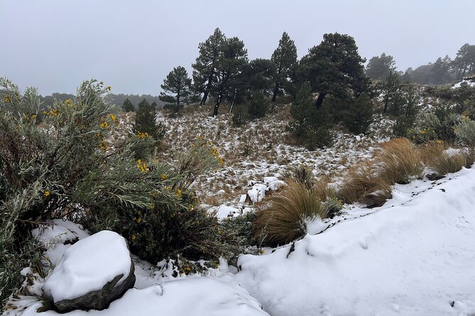 3 Hour Private Hike: Mountain Nevado Toluca from Mexico City - Snow, fog, and the mountain gamble