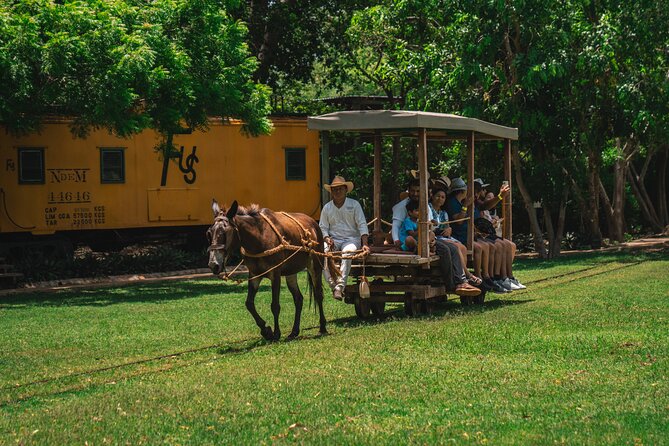 3 Hour Tour in The Sotuta de Peón Live Museum - Who Will Like This Experience Most