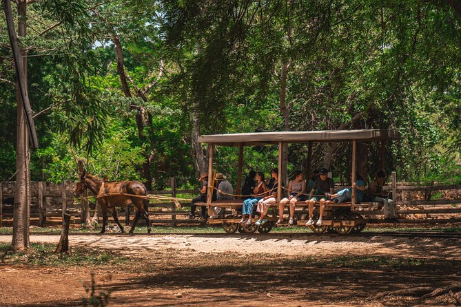 3 Hour Tour in The Sotuta de Peón Live Museum - Booking Timing and Cancellation Risk