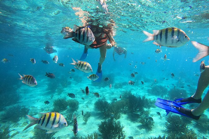 3 Hours VIP Semiprivate Tour Isla Mujeres Full Snorkeling Experience - Key points before you book