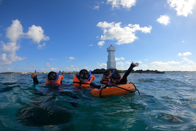 3 Hours VIP Semiprivate Tour Isla Mujeres Full Snorkeling Experience - What you may see below the surface