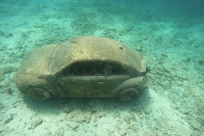 3 Hours VIP Semiprivate Tour Isla Mujeres Full Snorkeling Experience - The guides make the difference