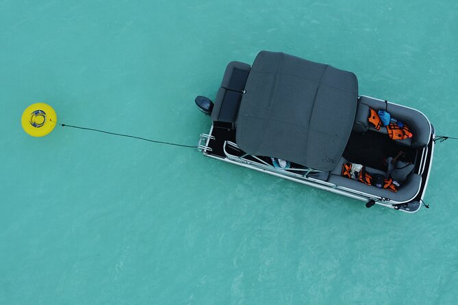 3 hr Pontoon Tour with access to Beach Club and Free Kayaks - Cenote de la Bruja and the lagoon’s natural side