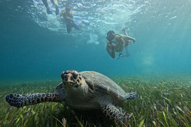 3 in 1 Jungle Tour Adventure Cancun - Taking the wheel through Nichupté Lagoon
