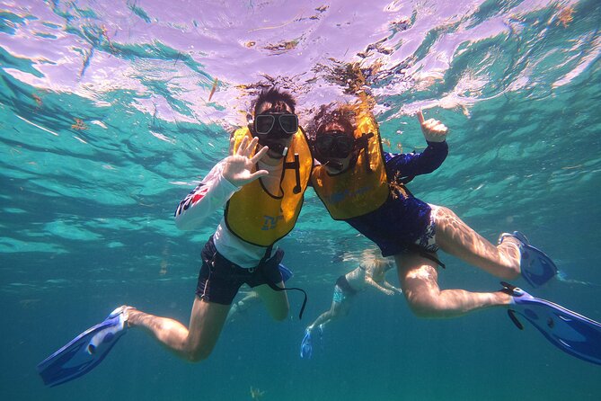 3 in 1 Jungle Tour Adventure Cancun - Seeing MUSA beneath the surface