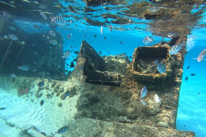 3 in 1 Jungle Tour Adventure Cancun - What the $47 price really covers