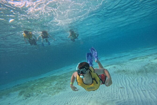3 in 1 Jungle Tour Adventure Cancun - Timing, group size, and comfort