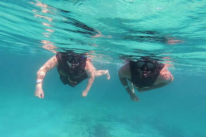 3 in 1 Private Tour Tulum Cenote and Snorkeling in the reef - One hour snorkeling in a protected reef area
