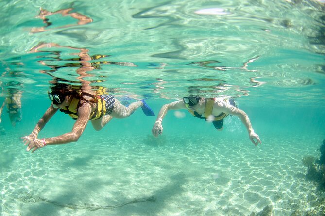 3-in-1 Puerto Morelos: Snorkeling, Tequila & Beachside Lunch - Pickup, timing, and the practical details