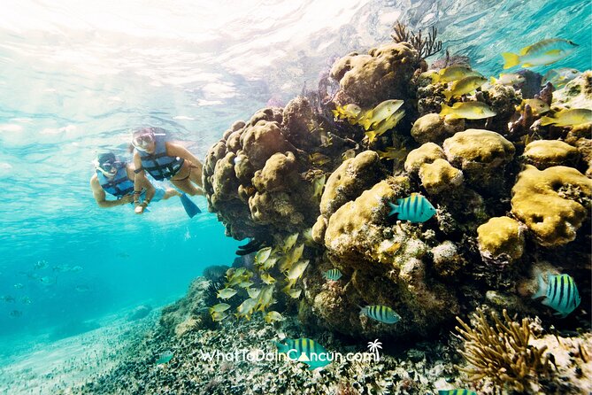 3-in-1 Puerto Morelos: Snorkeling, Tequila & Beachside Lunch - My take: book it for variety, not a guaranteed reef expedition