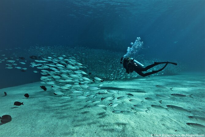 3-Tank Scuba in Marine Reserve and Corridor for Certified Divers - The Corridor: a different setting beyond the arch