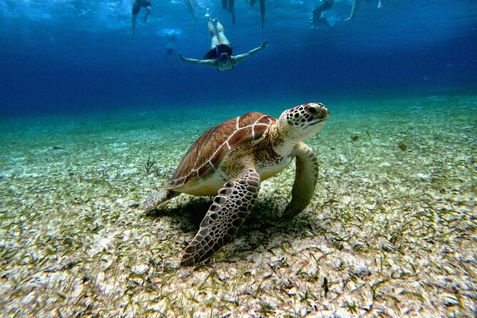4 Hour Cozumel Turtle Sanctuary Experience on a Luxury Catamarán - Meeting beneath Cozumel’s giant flagpole